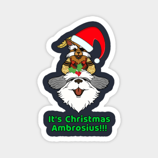 Sir Diddymus Labyrinth Christmas Magnet