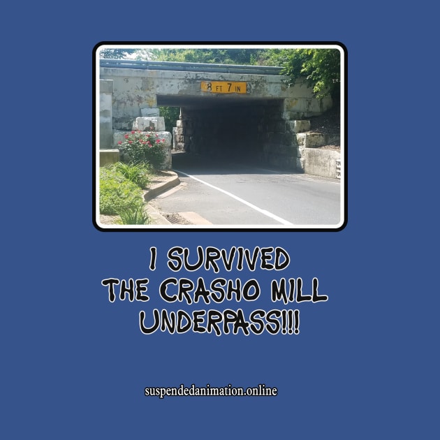 Casho Mill Underpass Survivor by tyrone_22