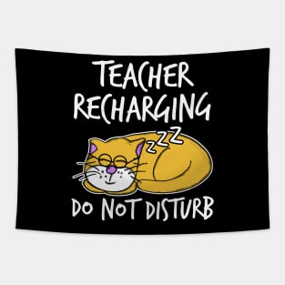 Teacher Recharging Funny Cat Sleeping Teachers Day Tapestry