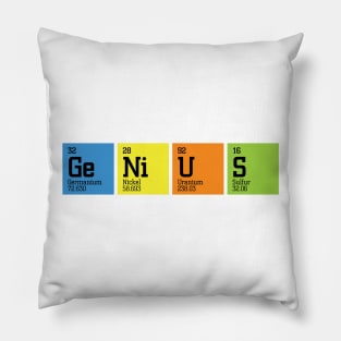 Genius Pillow