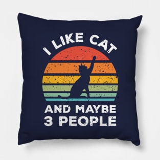 I Like Cat and Maybe 3 People, Retro Vintage Sunset with Style Old Grainy Grunge Texture Pillow