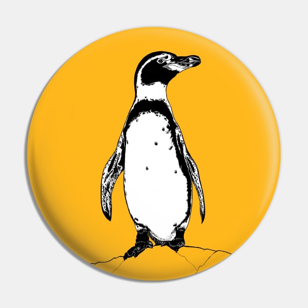 African penguin Pin by lorendowding