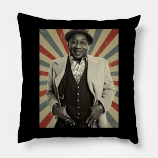 Muddy Waters Pillow