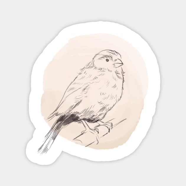 Hand drawn illustration of canary bird Magnet by Lshvsk