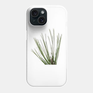 Pine needle Phone Case