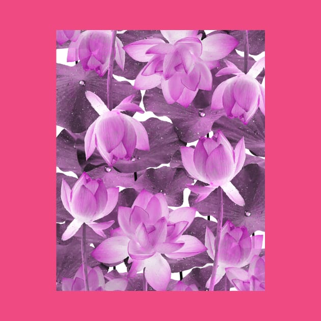 Ethereal Pink Lotus by StudioGrafiikka