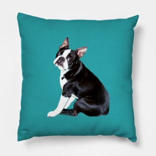 A Boston Terrier - Just the Dog Pillow