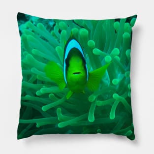 Anemone fish Pillow