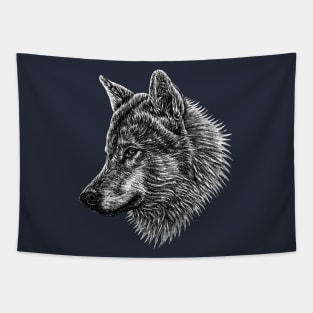 European wolf animal ink illustration Tapestry