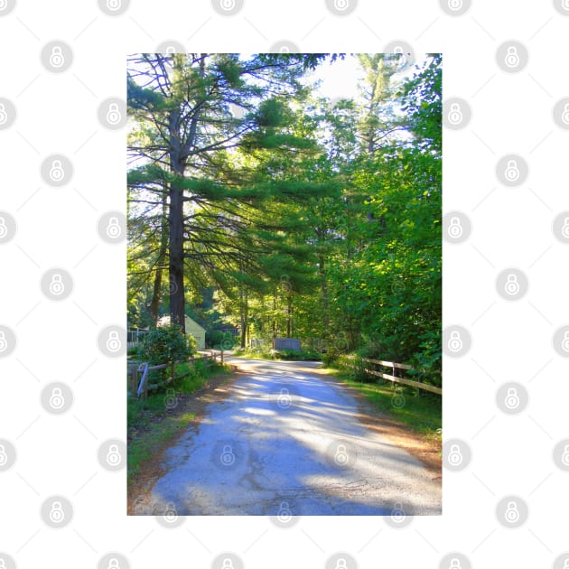 Country Road New Hampshire by MAMMAJAMMA