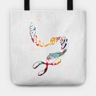 DNA Chromosome Tote