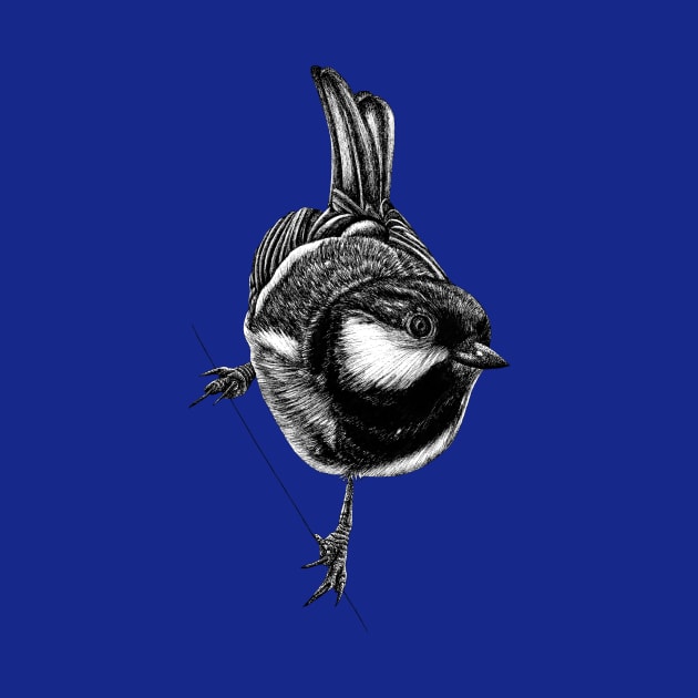 Coal tit bird by lorendowding