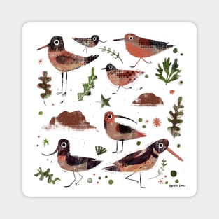 Seabirds Magnet