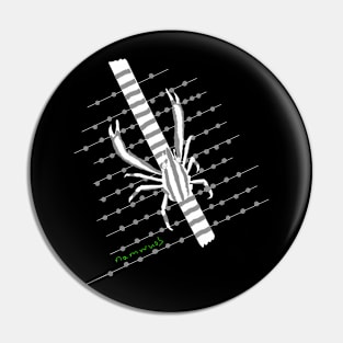 Elegant squat lobster Pin