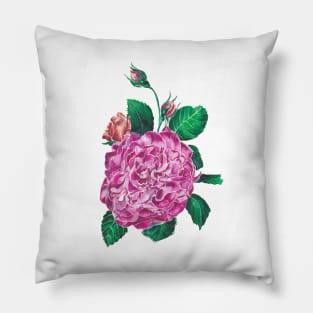 Rose Pillow