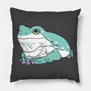 White's Dumpy Tree Frog Pillow