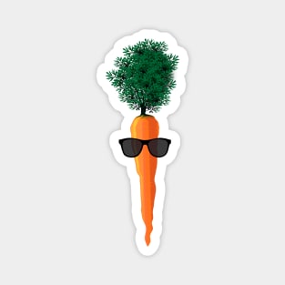 Cool Carrot Magnet