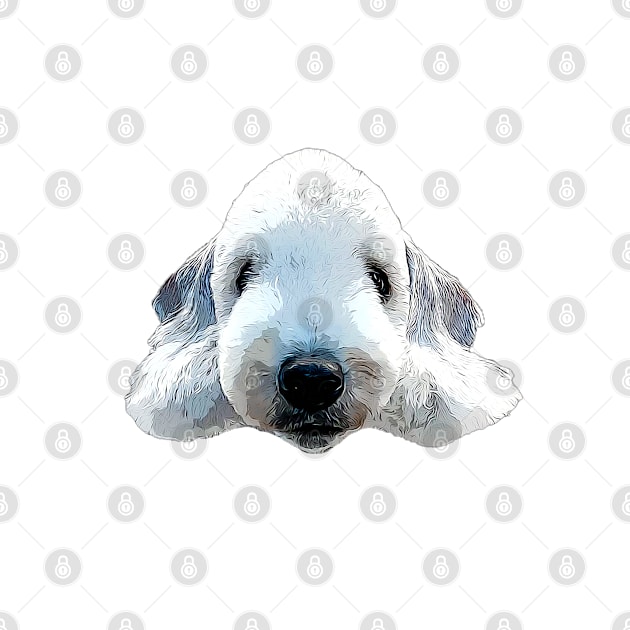 Bedlington Terrier Head Art by ElegantCat