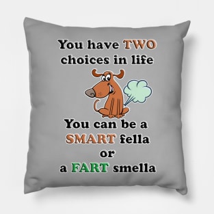 You Can Be A Smart Fella or Fart Smella Pillow