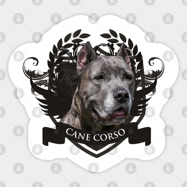 Cane Corso Italian Mastiff Cane Corso Sticker Teepublic