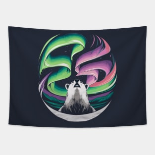 Northern Lights, Aurora Borealis Tapestry