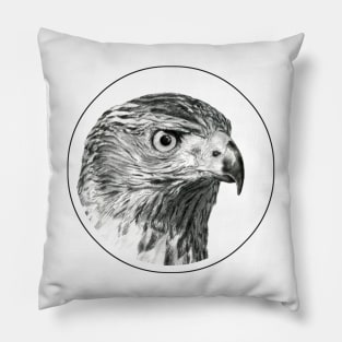 Hawk portrait drawing Pillow