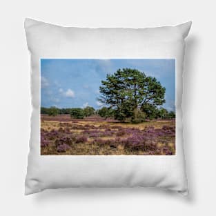 Heathland with trees early in the morning Pillow