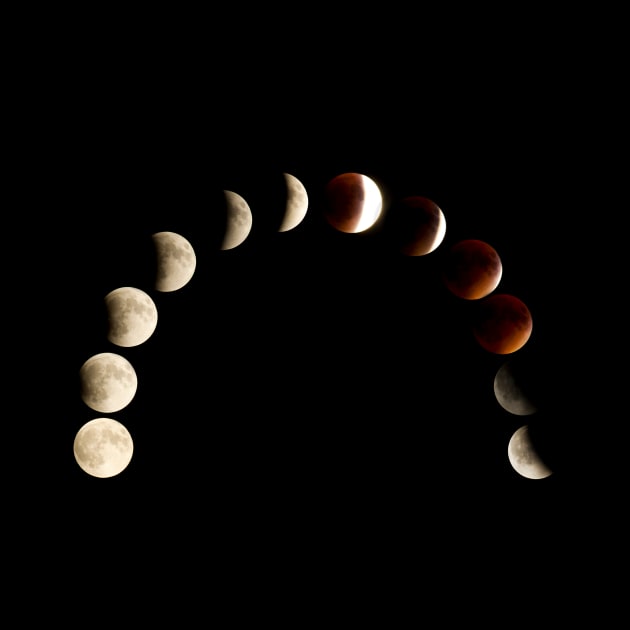 Moon Phases, Lunar Eclipse by SWON Design