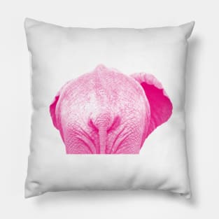 Elephant 01 Pillow