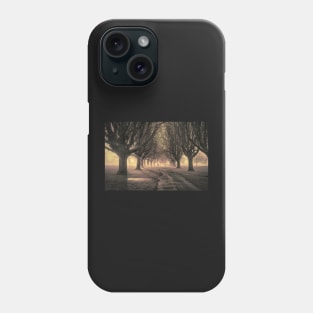 Llandaff Fields#3 Phone Case