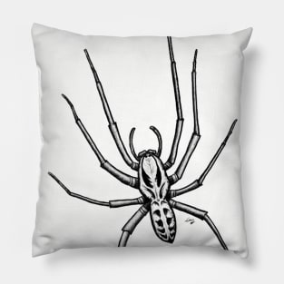 House Spider Pillow