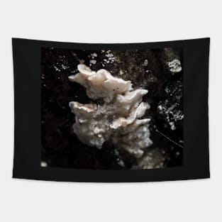 White Fungus Tapestry