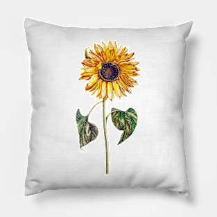 Sunflowers Pillow