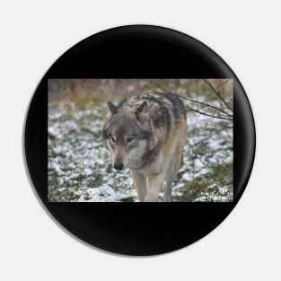 Wolf Pin