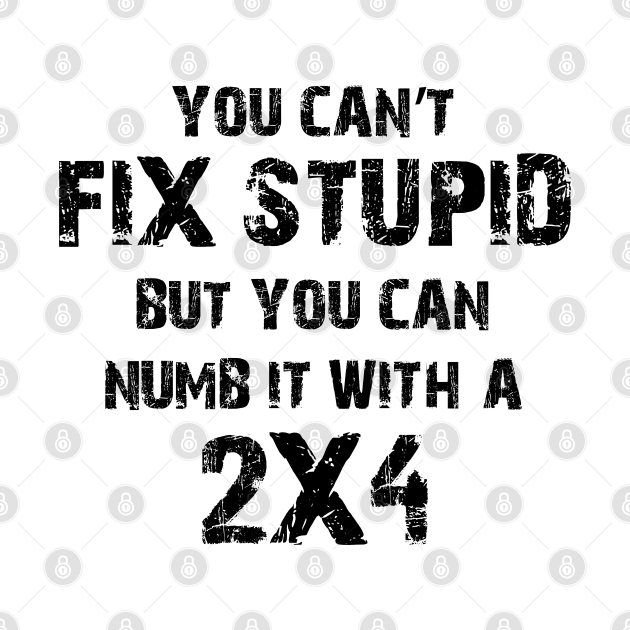 You Can'T Fix Stupid Not Even With Duct Tape Funny Sarcastic Car Bumper Sticker