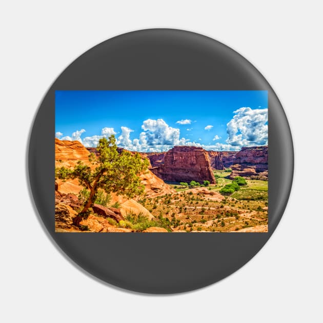 Canyon de Chelly National Monument Pin by Gestalt Imagery