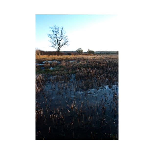 A farmer's Field in Winter - Yorkshire, UK by richflintphoto