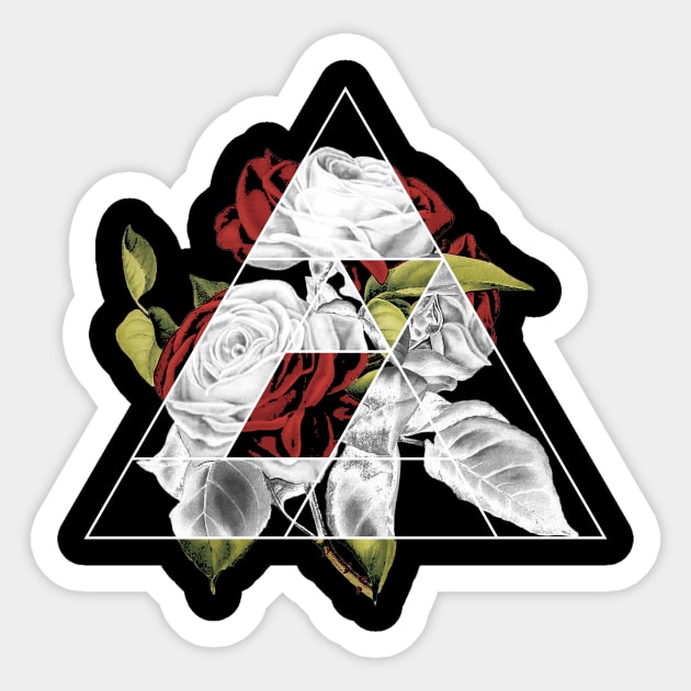 Triangle Shape Sticker