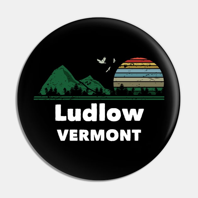 Mountain Sunset Flying Birds Outdoor Ludlow Vermont Pin by greenrepublicmerch