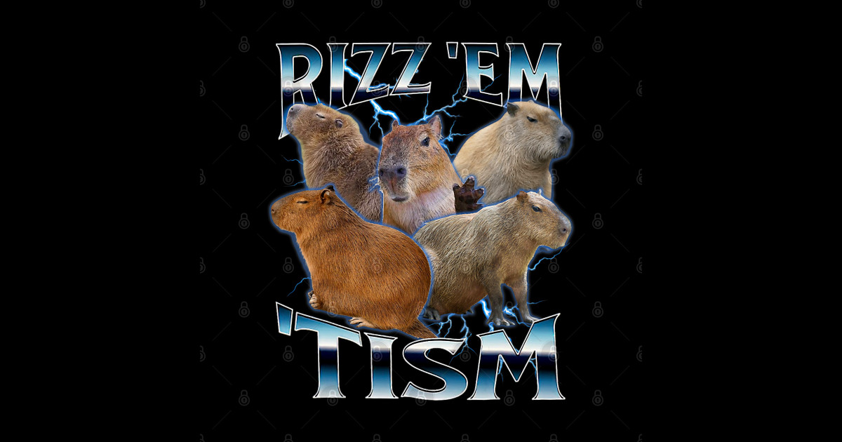 Autism Rizz Em With The Tism Meme Autistic Capybara 24 - Capybara ...