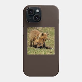 Fox Kits Phone Case