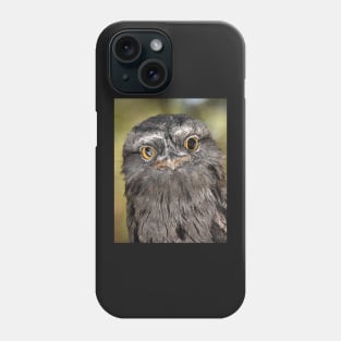 Tawny Frogmouth Portrait Phone Case