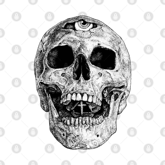 Skull by mayberus