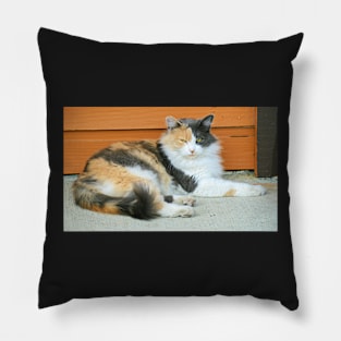 Cattitude Pillow