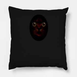 Green Eyed Cat in Shadow Pillow