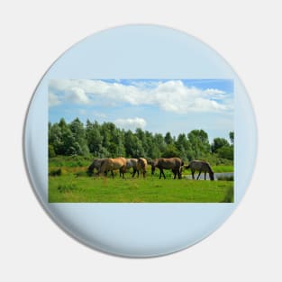 Herd of Konik horses Pin