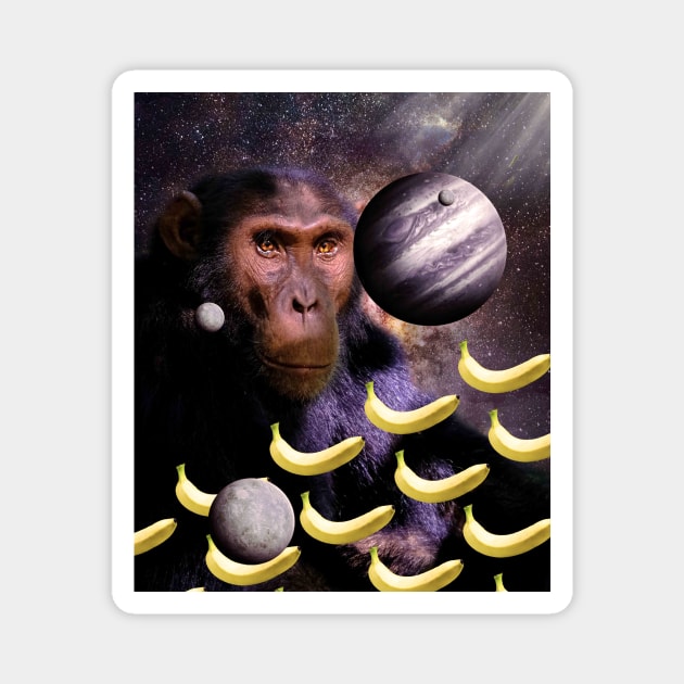 Chimp Monkey In Space Magnet by Random Galaxy