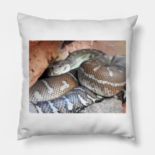 Centralian Carpet Python Pillow