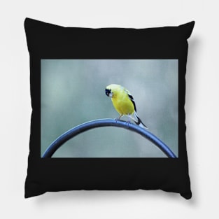 Expressive Goldfinch Pillow