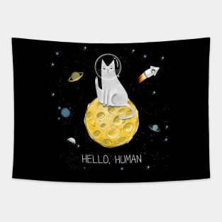 Cats in space. Cute typographi print with cats astronaut. Tapestry